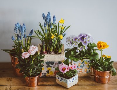 Je tuin opfleuren doe je met bloembakken!